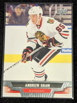2013-14 Upper Deck #114 Andrew Shaw, Chicago Blackhawks 