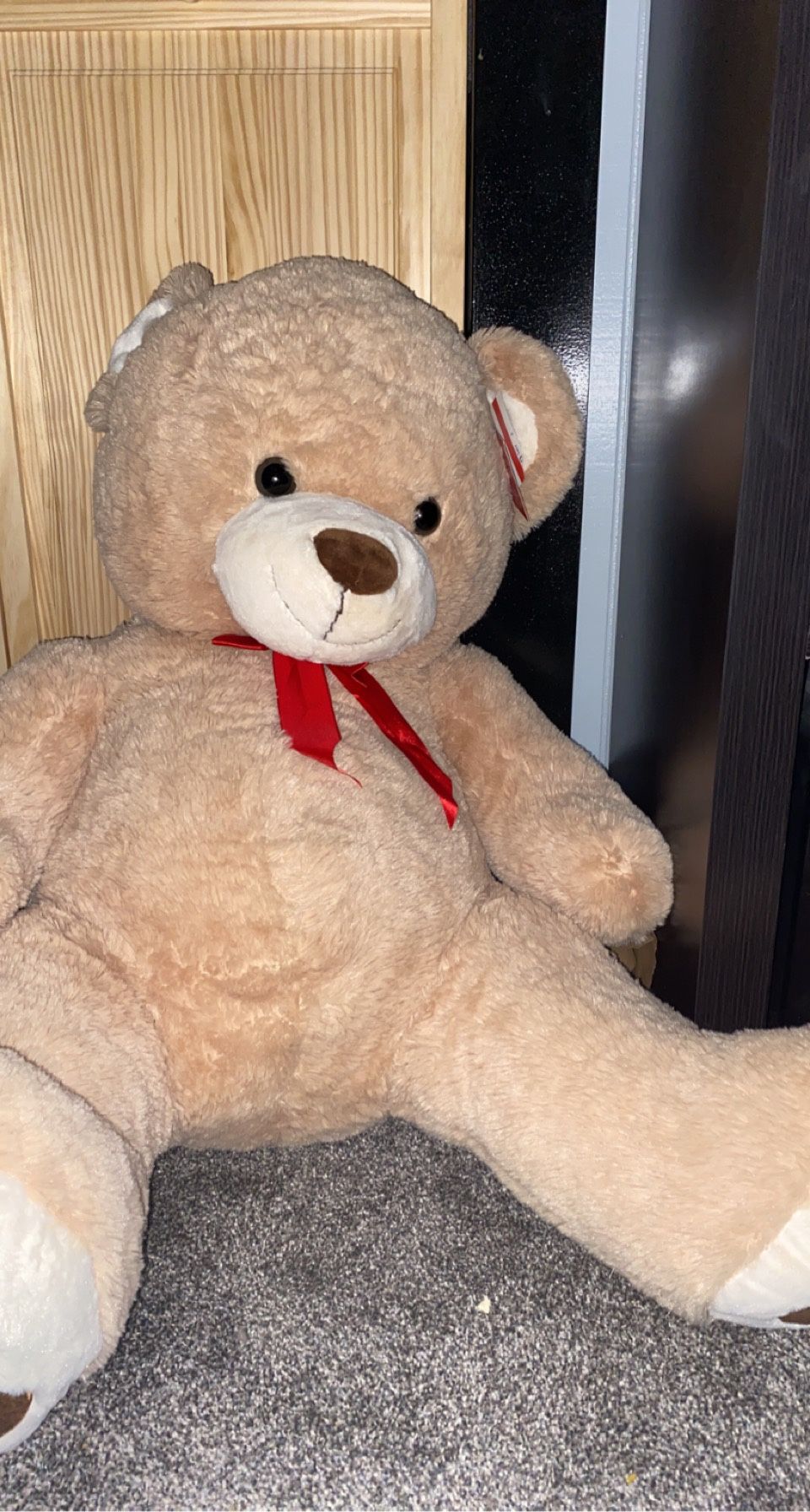 3 Foot Bear Still Has Tags