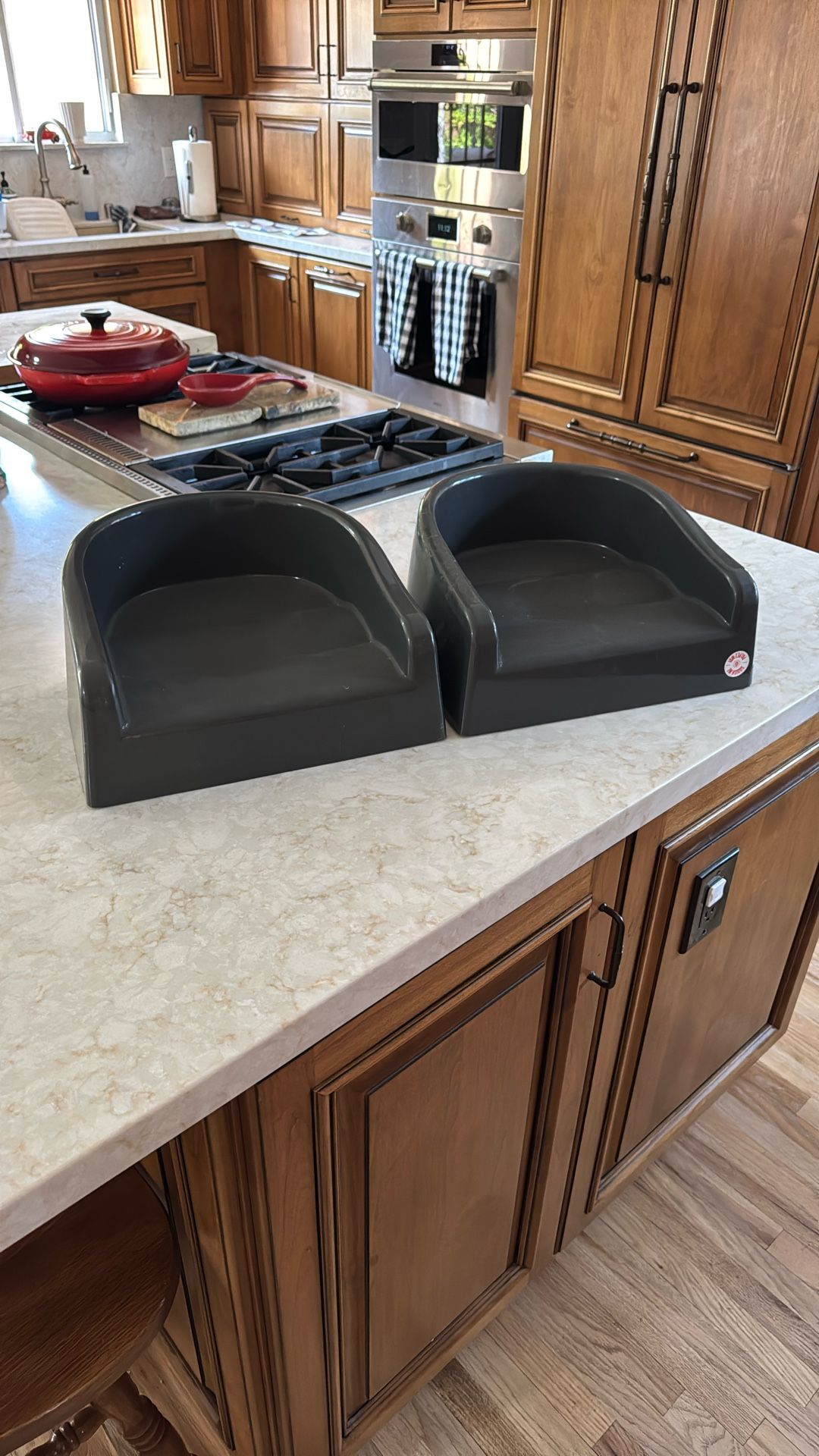 Booster Seats $25 Each