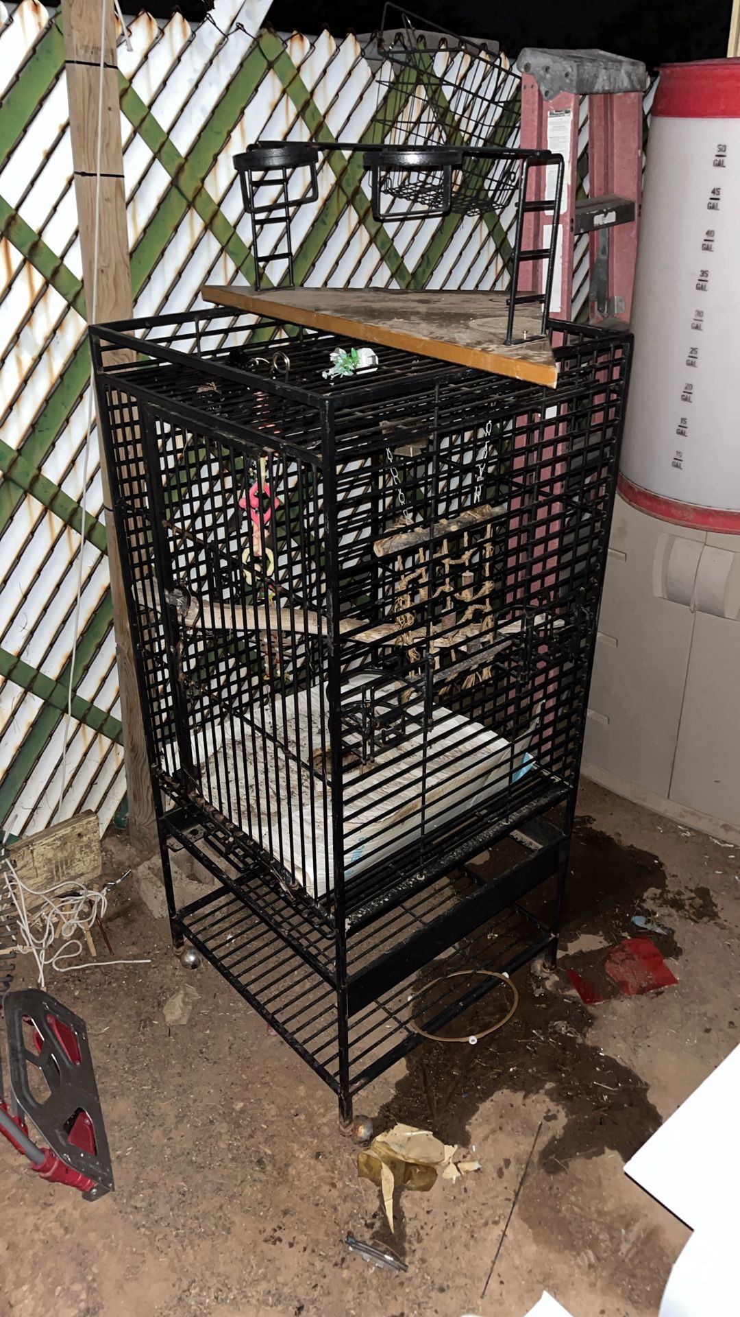 Bird Cage