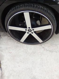 24” Cavallos
