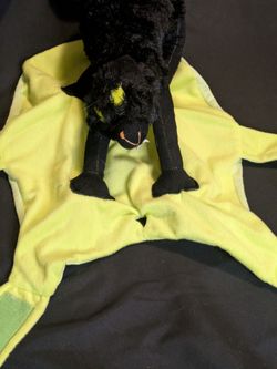 Cat Ride Dog Costume L/XL