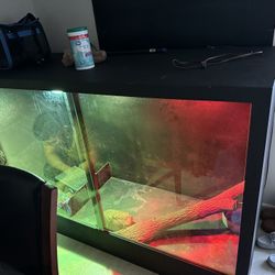 Reptile Enclosure 6x4x2.5