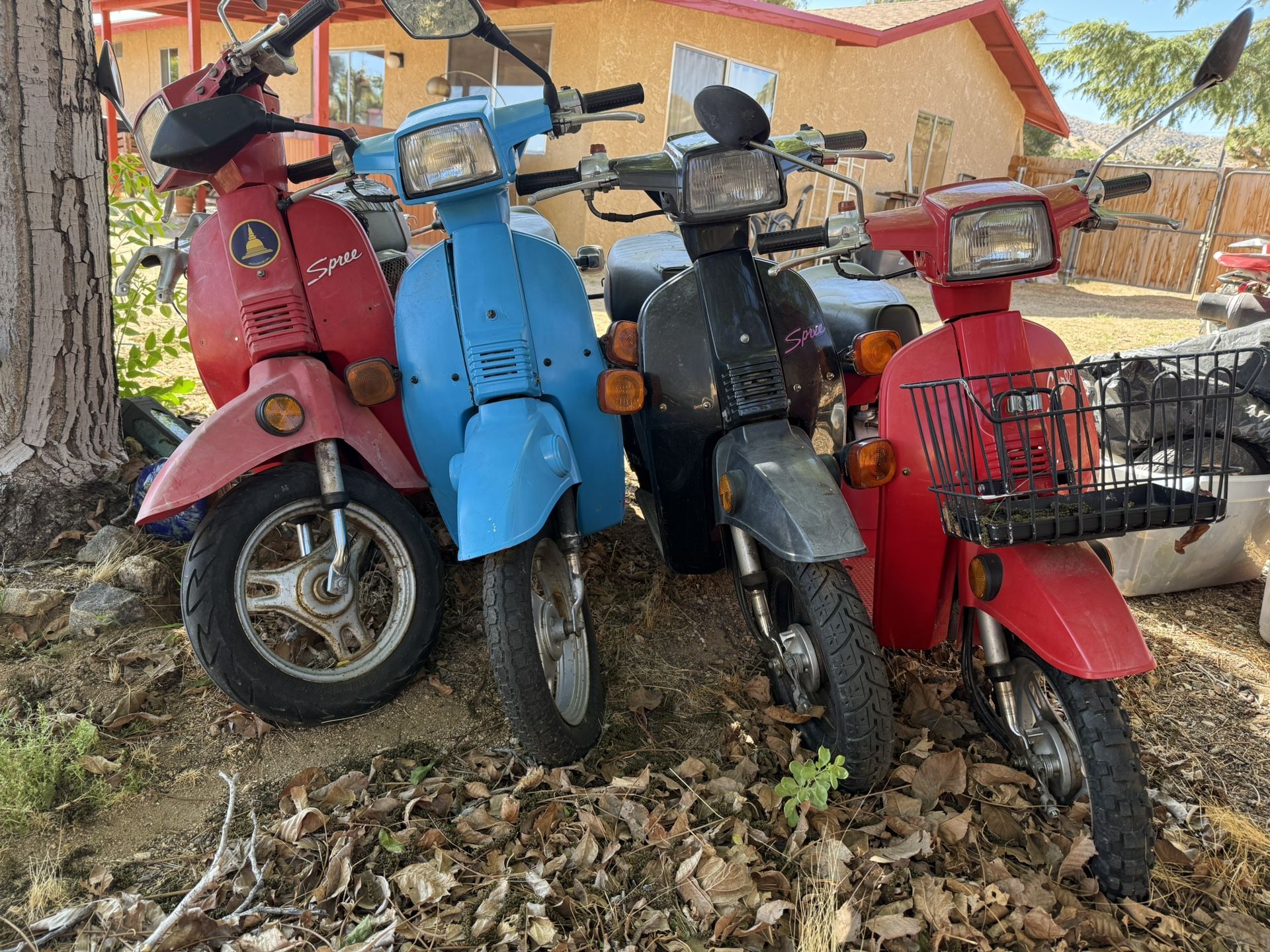 Vintage Honda Spree