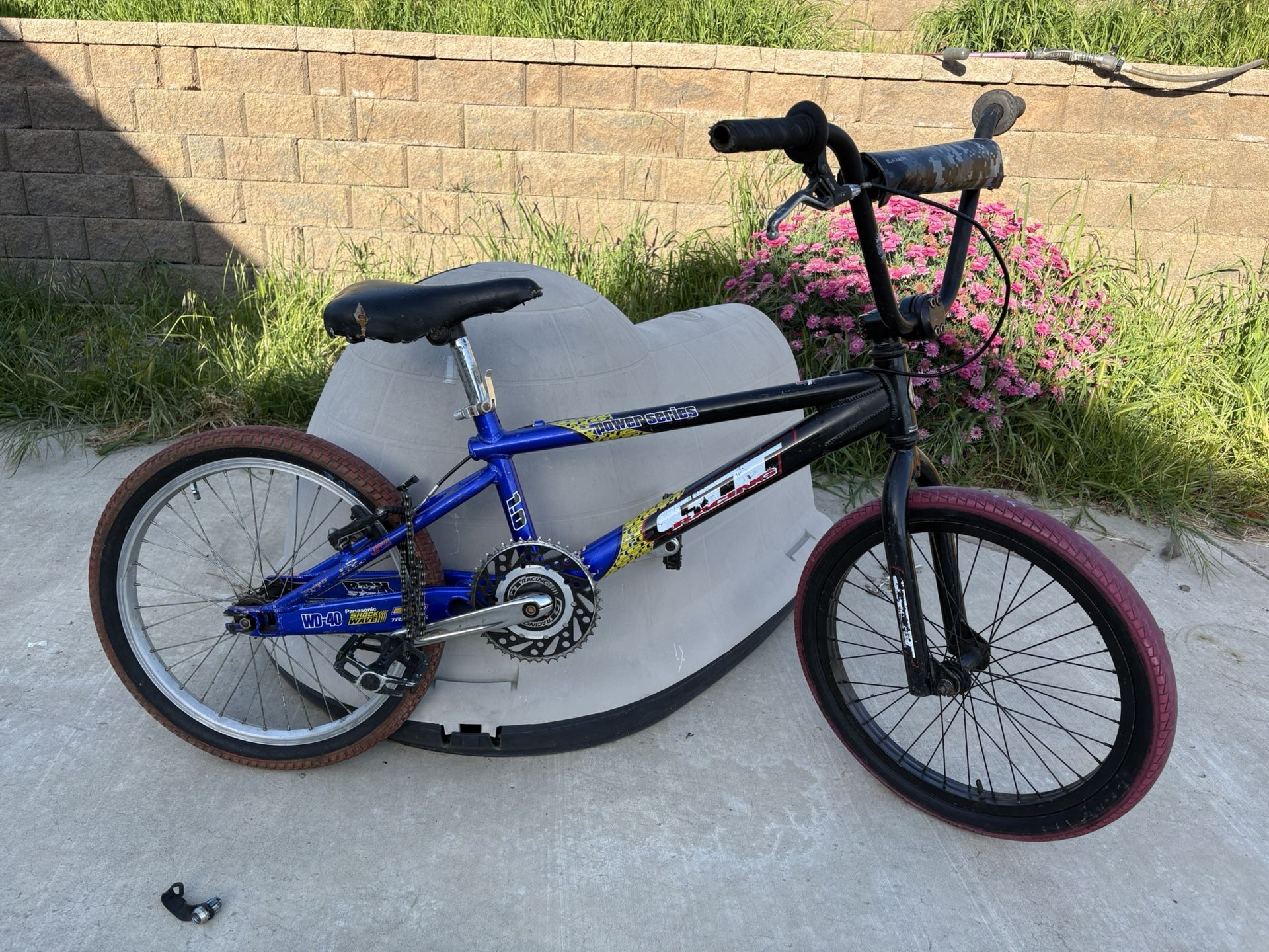 GT Pro Series BMX Bike (Vintage)