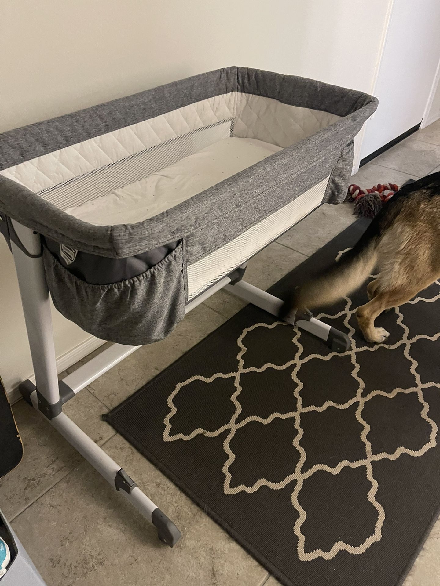 Bassinet 