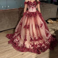 Quinceañera Dress