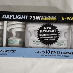 6 Pack 75watt  Light Bulbs