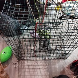Crab Trap 