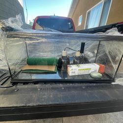 Bearded Dragon Tank Or Fish Tank