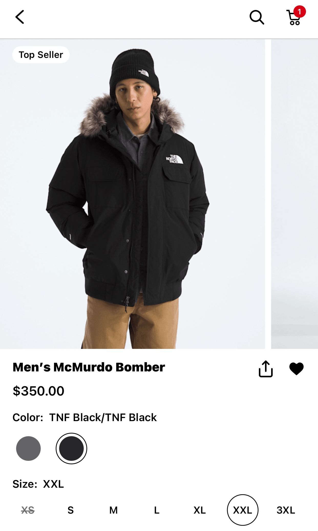 North Face Jacket 