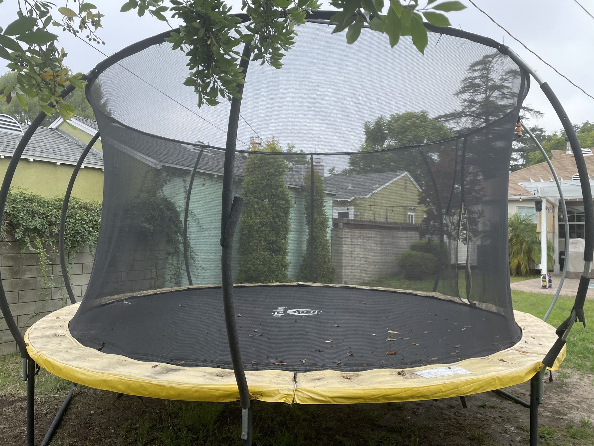 Trampoline 