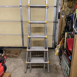 Ladder Multi Adjustable