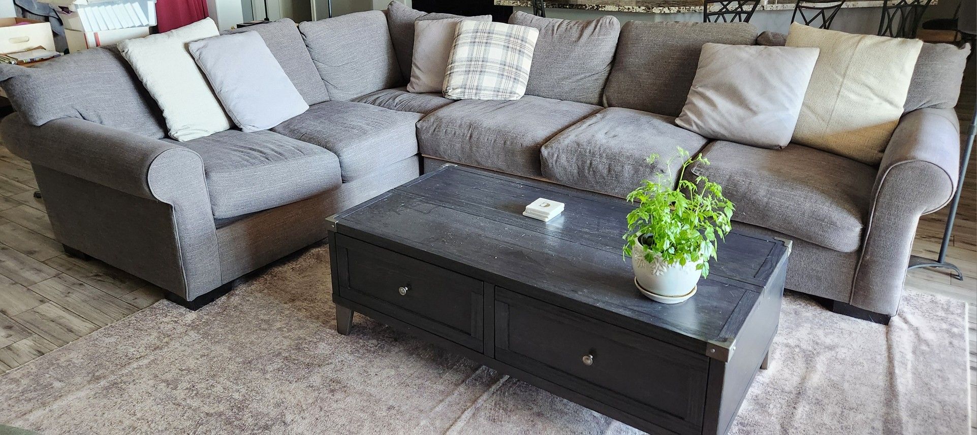 Grey Sectional Couch
