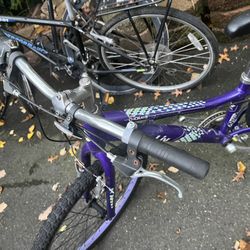 Liv Enchant Kids Bike 