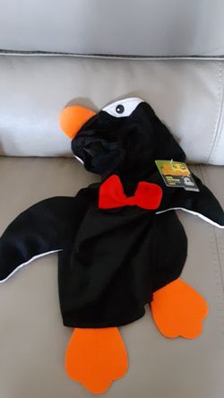 Pet Halloween costume