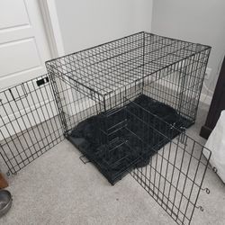 Dog Crate