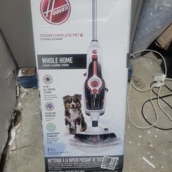 Brand New Steam Cleaner 