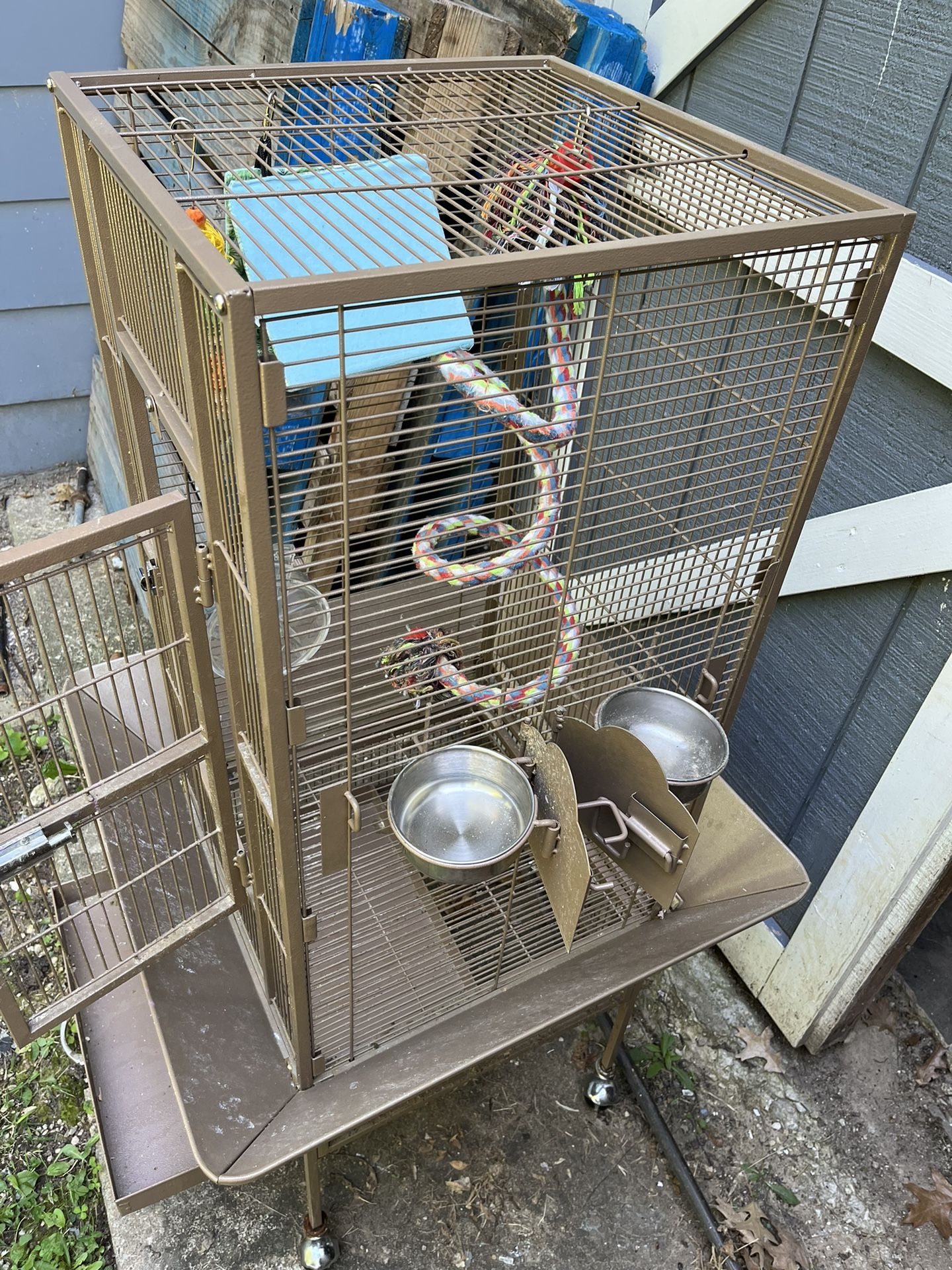 Bird Cage