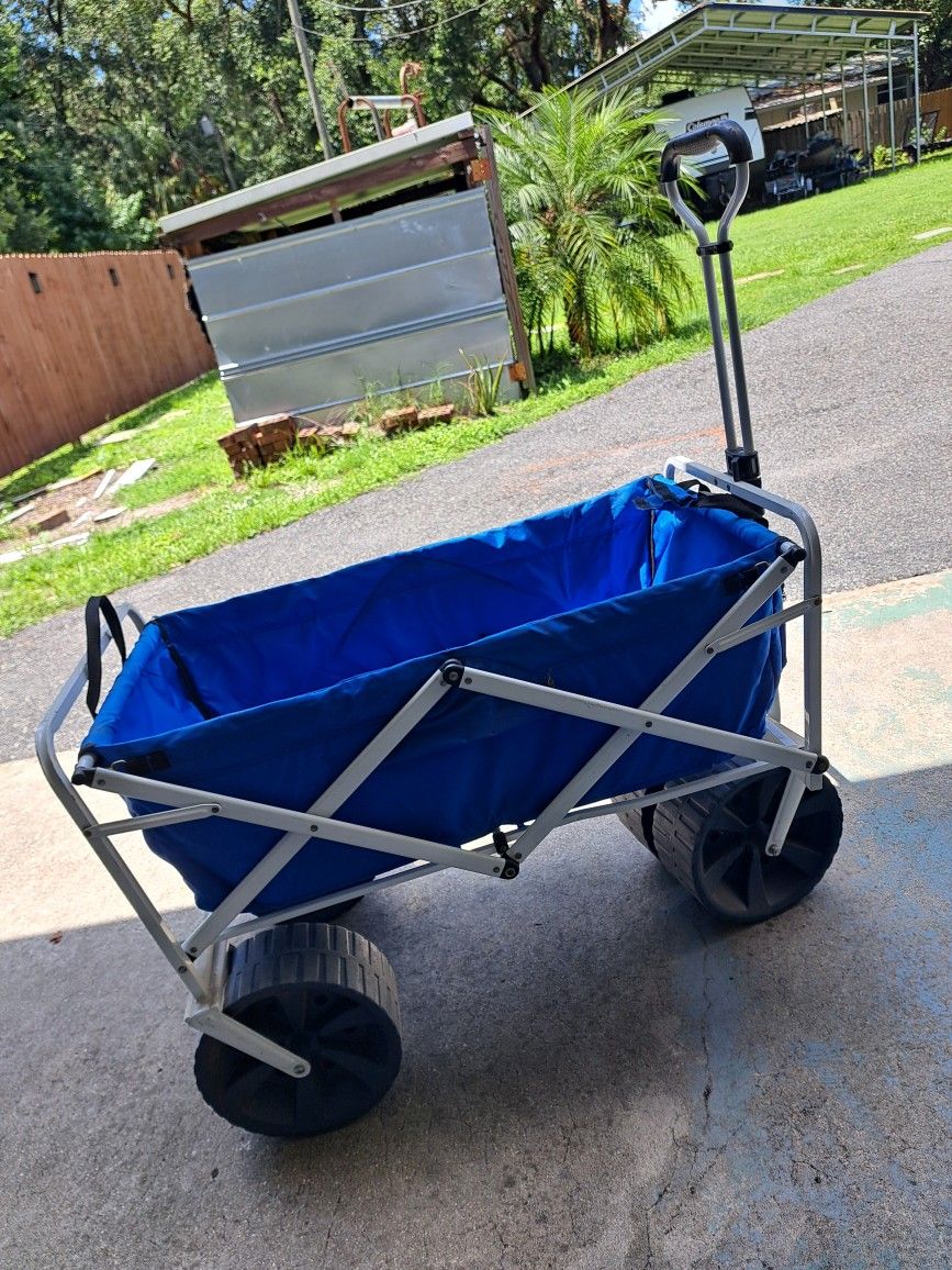 Beach Wagon