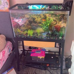 30 Gallon Fish Tank And Stand Everything Included 