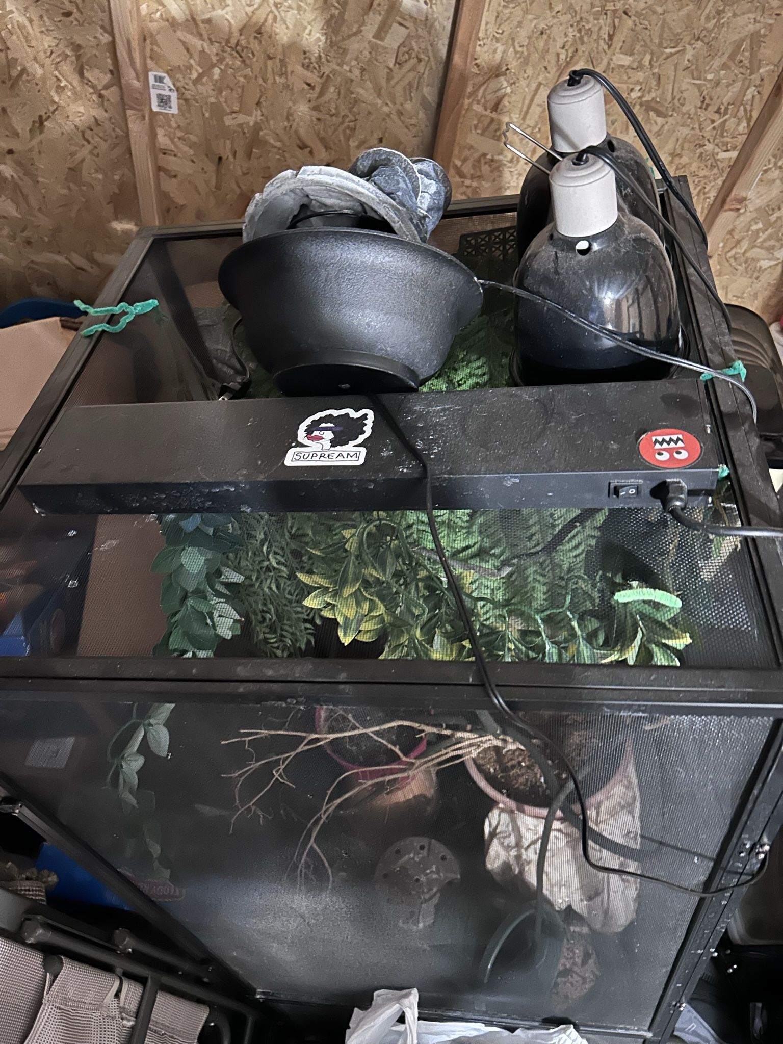 Chameleon Cage 