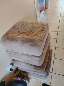 Couch cushions