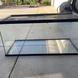 40 Gallon Tank Reptile