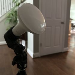 Portable Lights 