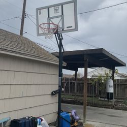 Basketball Hoop