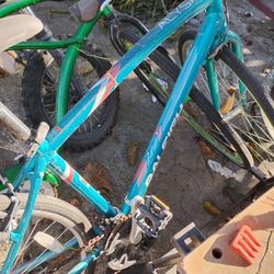 Raleigh Alysa 21 Speed 