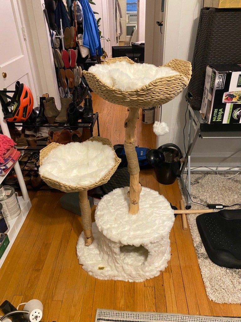 Mau Lifestyle Cento 46-in Modern Wooden Cat Tree & Condo