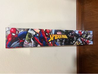 Spider-Man Canvas
