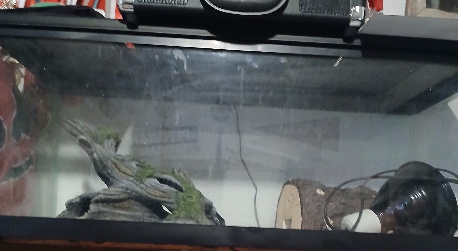 Reptile tank