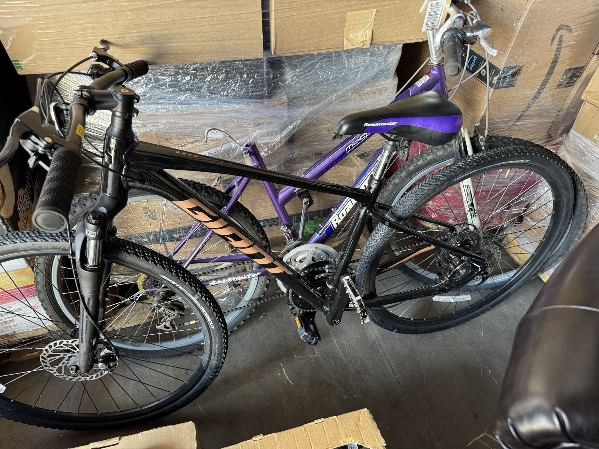 Giant Bike