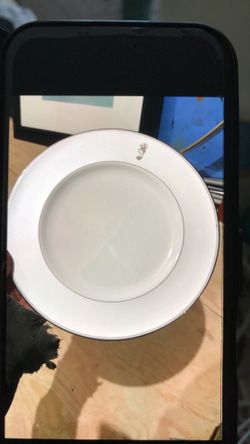 Waterford vintage seahorse China dinner plate