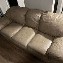 Coffee Leather Couch