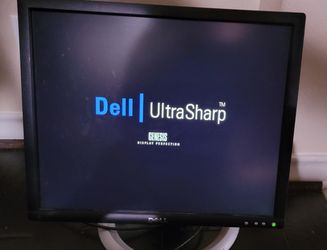Dell 19" Monitor 