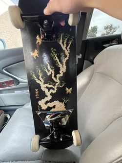 Skate Board