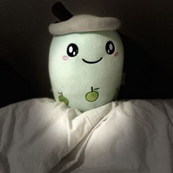 Cute 🥰 Boba 🧋 Plushie 