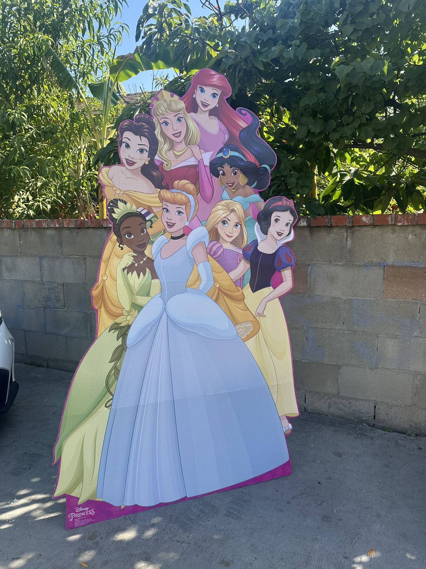 Life Size Princesses
