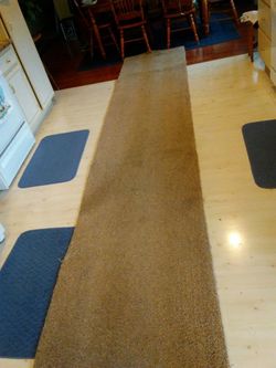 Large Piece of Carpet