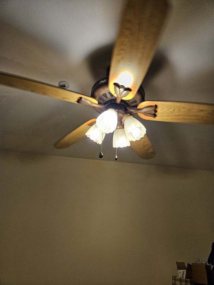 Hunter Ceiling Fan