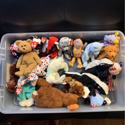 Beanie Baby Lot 