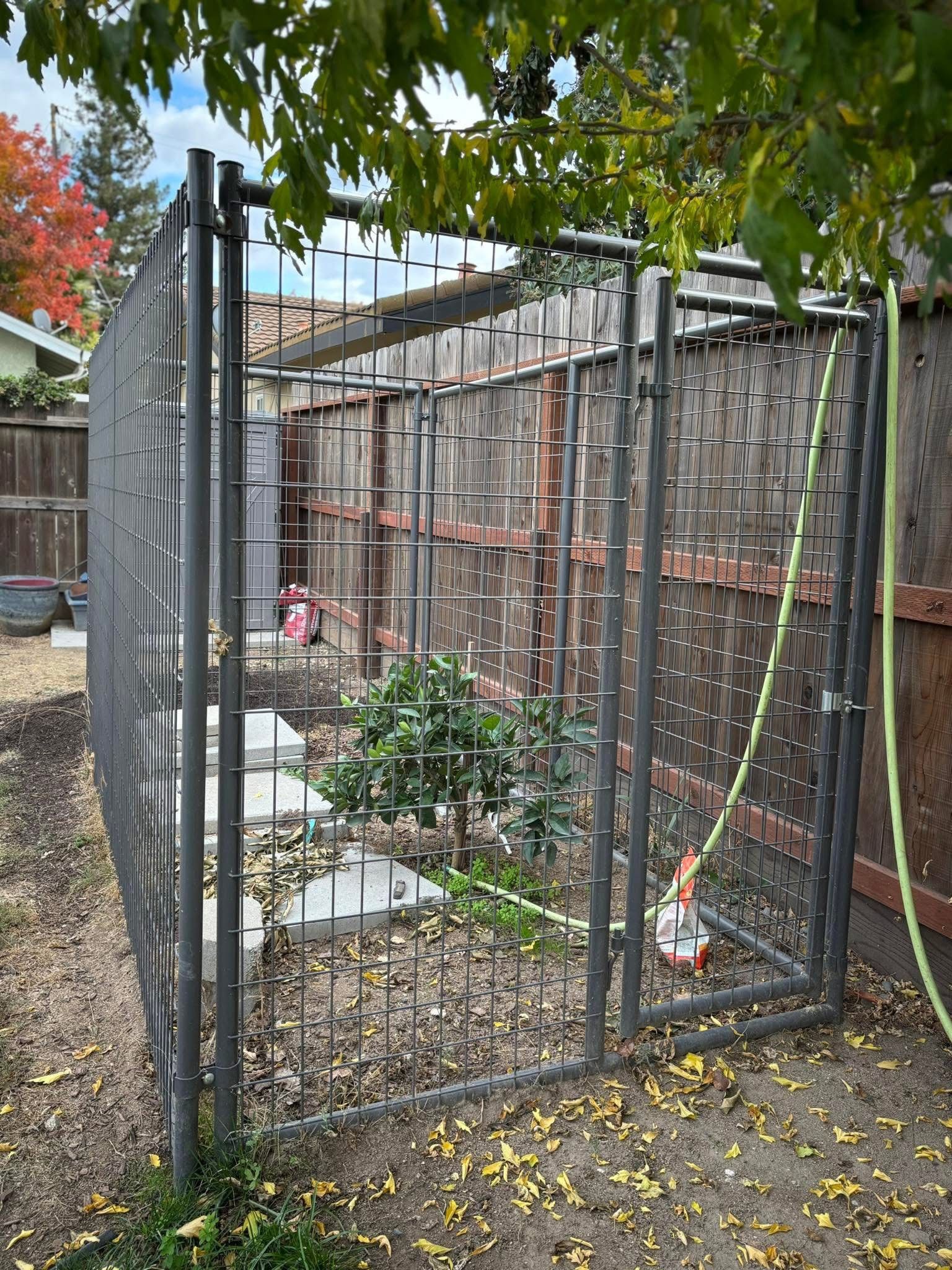 Dog Kennel (large)
