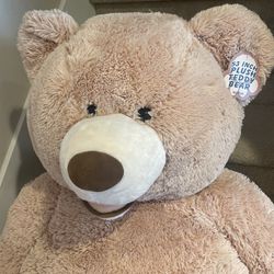Free 53 Inch Plush Teddy Bear 