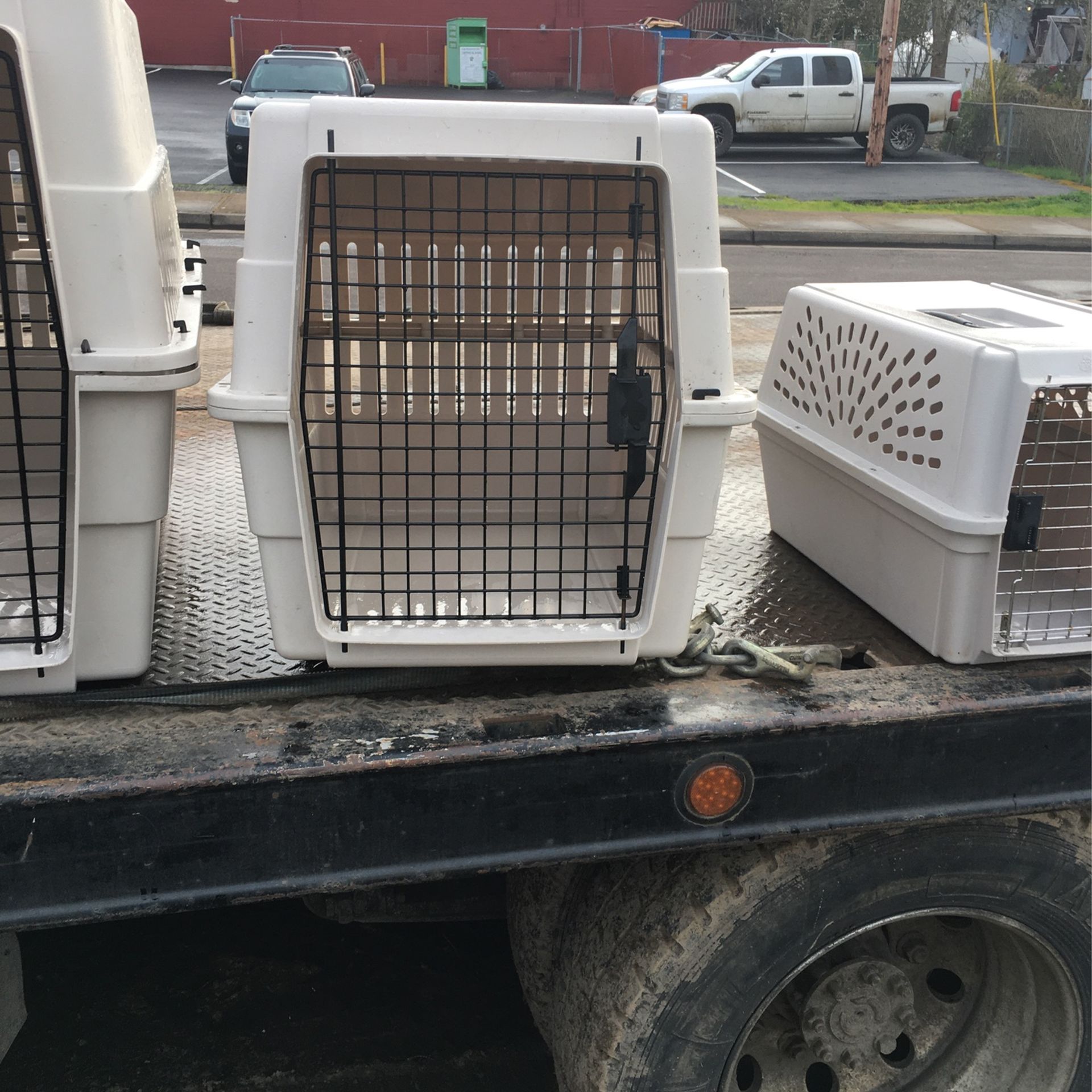 medium Sized Dog Cat Carrier Jail Timeout