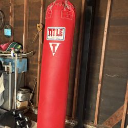 Punching Bag 