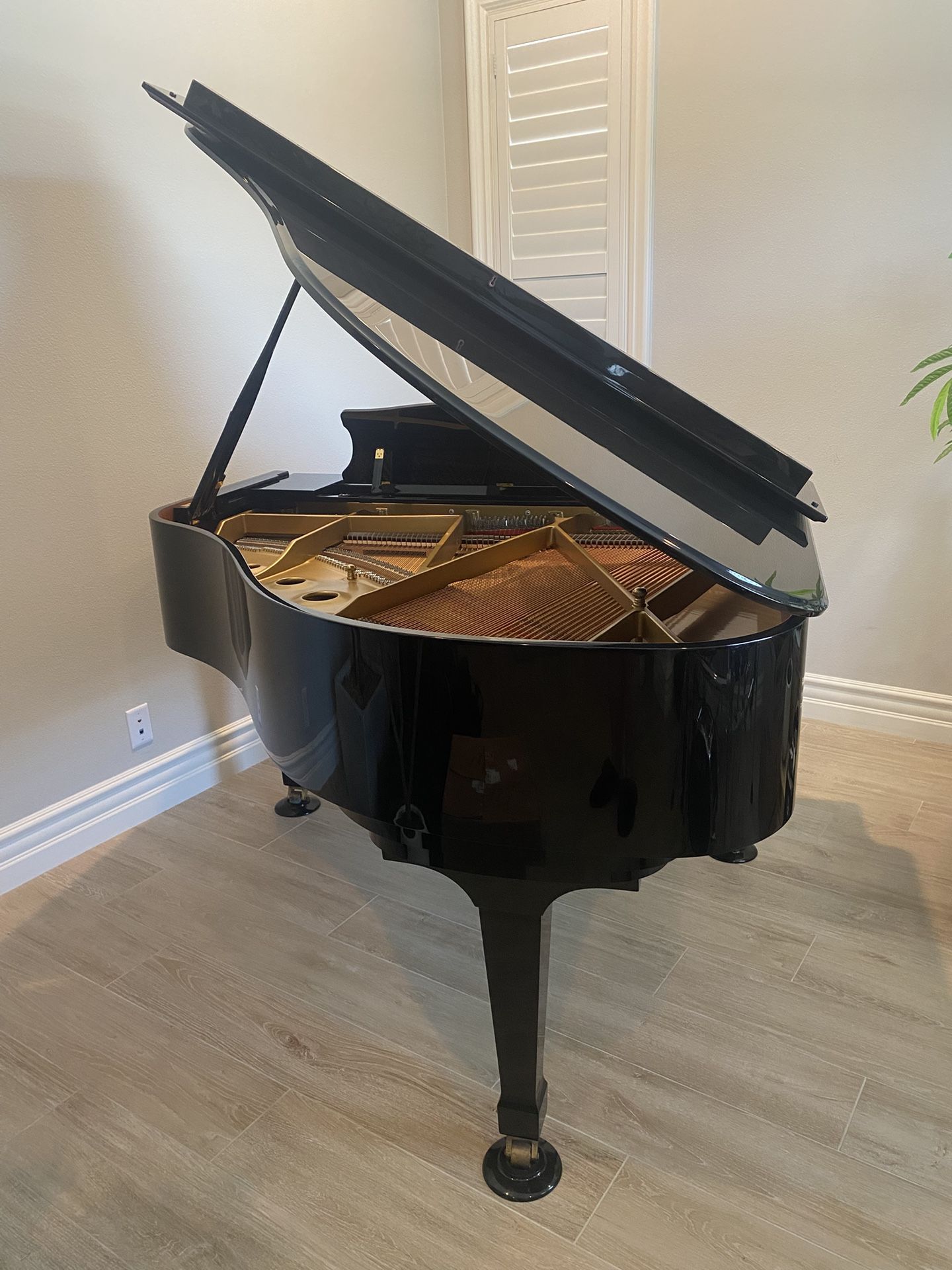 Kawai RX-1 Grand Piano