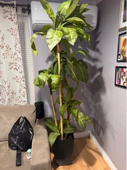 7ft Tall Fake Plant